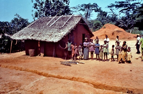 扎伊尔、刚果民主共和国、社区