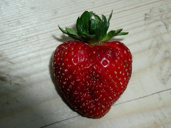 jordbær, frukt, studio