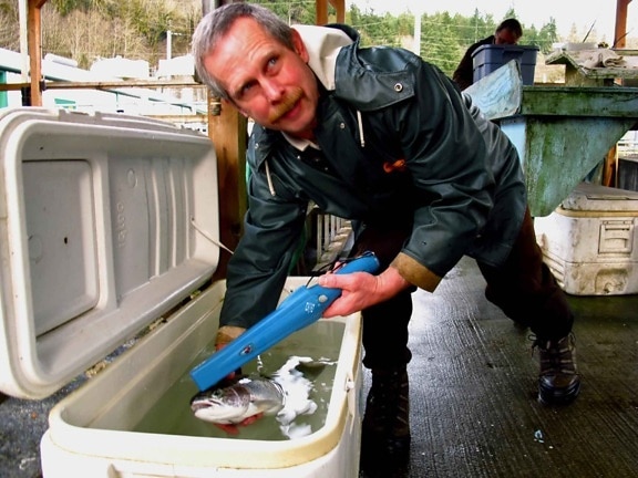 รหัส แท็ก steelhead ปลาแซลมอน พันธุ ศาสตร์ การทดสอบ การตรวจสอบ