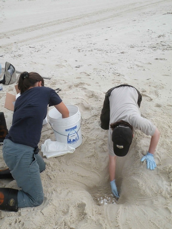 digging, holes, sand, beach