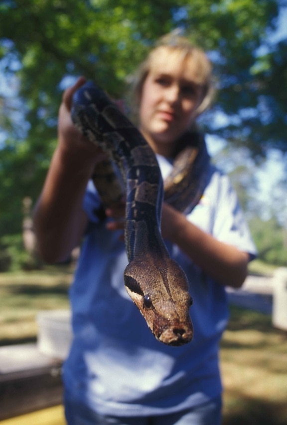 female, holds, large, snake
