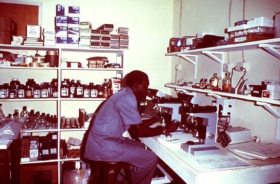 研究室、ベンチ、顕微鏡、座っている男