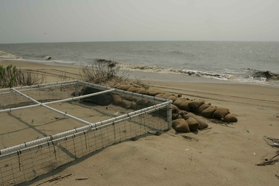 เต่า รัง โรง เพาะ sandbagged ปกป้อง คาดการณ์ ได้ เขตร้อน พายุ กิจกรรม