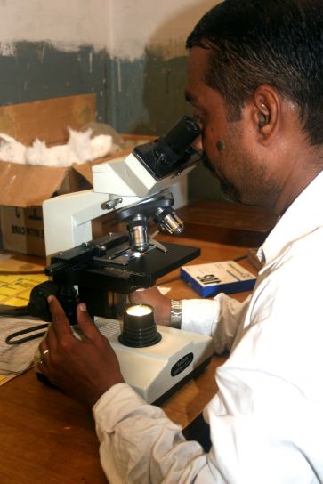 laboratoire, technicien, examiner, échantillons, soupçonné, tuberculose, Karachi