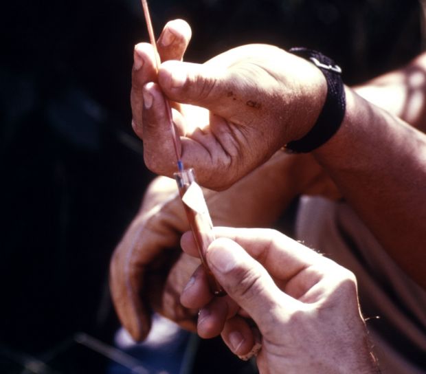 หน้าที่ การปฏิบัติ เลือด รวบรวม เล็ก สัตว์มีกระดูก สันหลัง 1974, arbovirus ศึกษา
