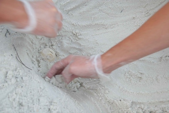 γάντια ιατρικά, ανασκαφή, άμμος,