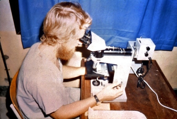 laboratorian, показано, глядя, Микроскоп, образцы, собранные, поле