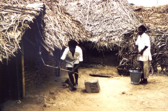 men, village, India, spraying, insecticide, dichlorodiphenyltrichloroethan