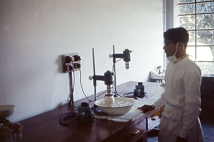 vacina de oeste, Paquistão, laboratório, fazendo, varíola, vacina