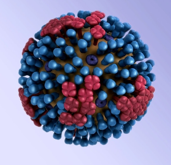 Dimensionale, model og influenza virus, 3d, grafisk, repræsentation, influenza, virion, ultrastruktur