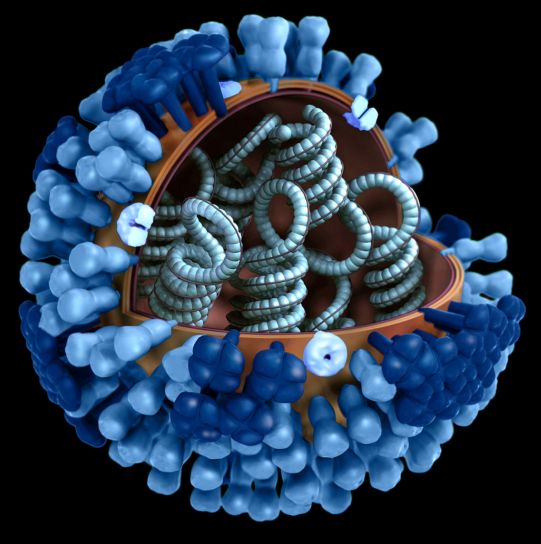 grafik, temsil, grip, virüs