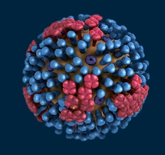 图形, 表示, 超微结构, 特异, 季节性, 禽类, 2009, 甲型h1n1 流感, 病毒