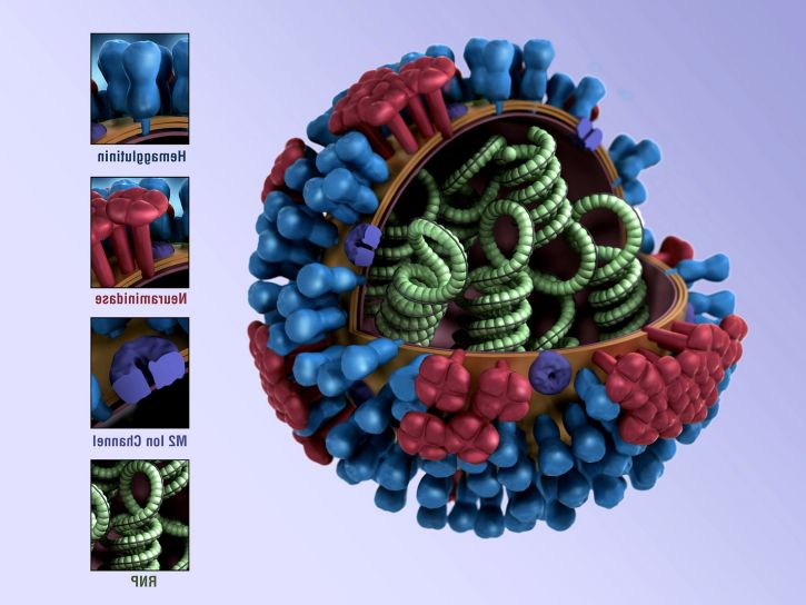 图形, 表示, 病毒, 超微结构, 血凝素, 神经氨酸酶, 通道