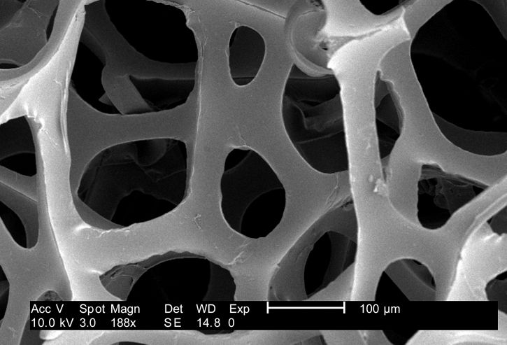 mikroskop-bilde, fibrøs, konfigurasjon, tørr, macrofoam, svamp, vattpinnen