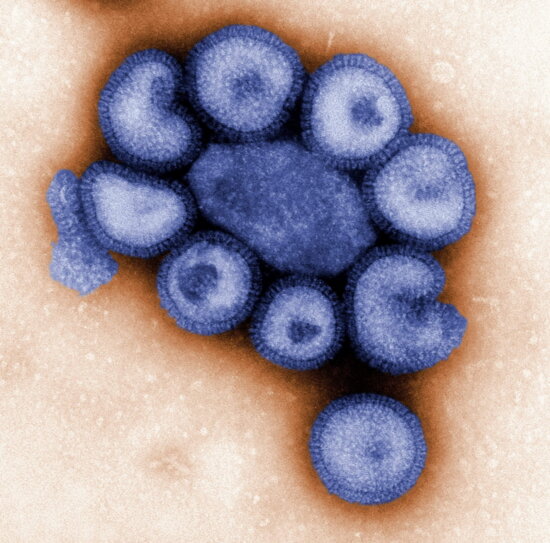 virus, microscope, colorized, blue