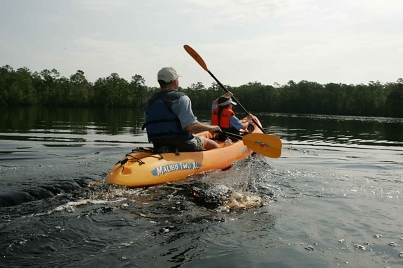 adult, child, enjoy, paddling, kayak