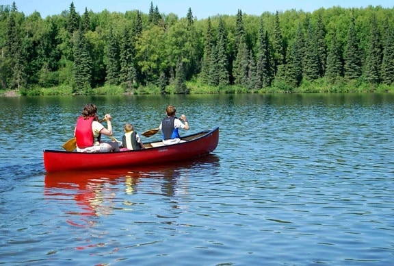 adulto, dos, niños, canoa, lago