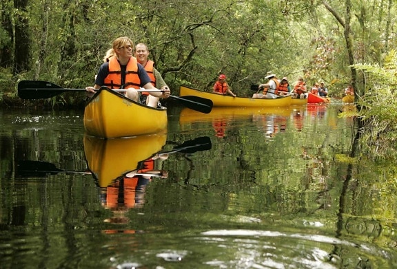 group, people enjoying, canoe, tour