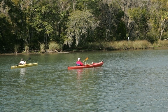 kayakers, enjoy, calm, waters