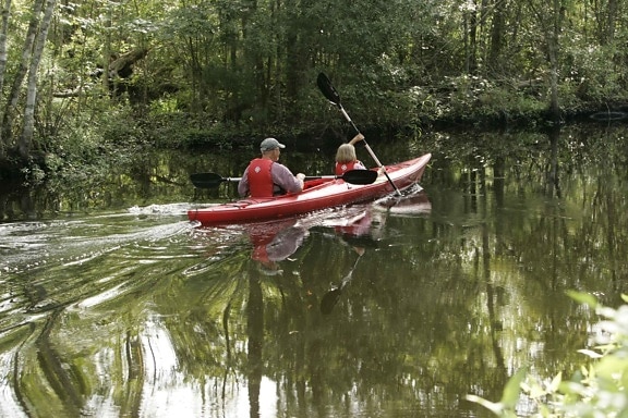 kayak, disfrutando, agua