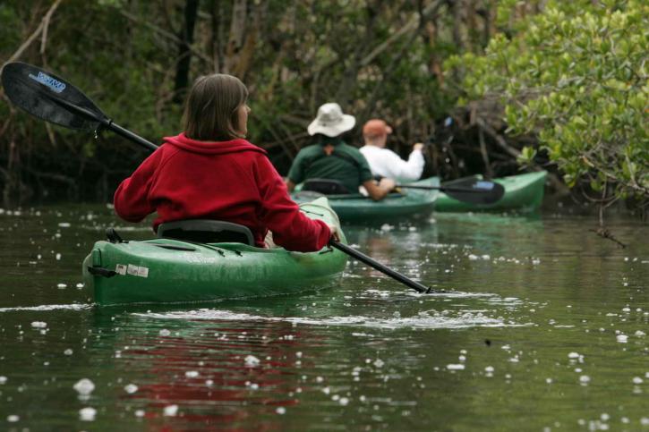 kayak, calme, eaux, vierge, nature