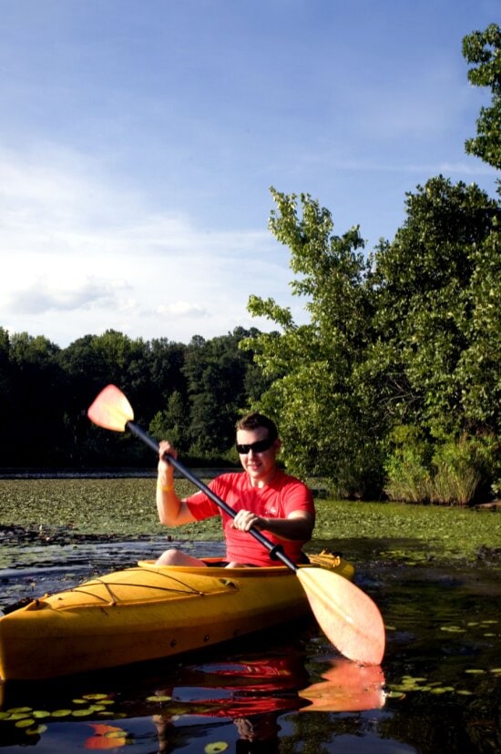 man, sport, joy, kayaking, lily, pad, covered, lake