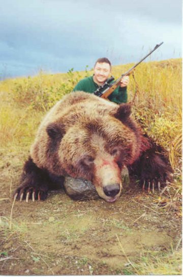 gấu, thợ săn, gấu