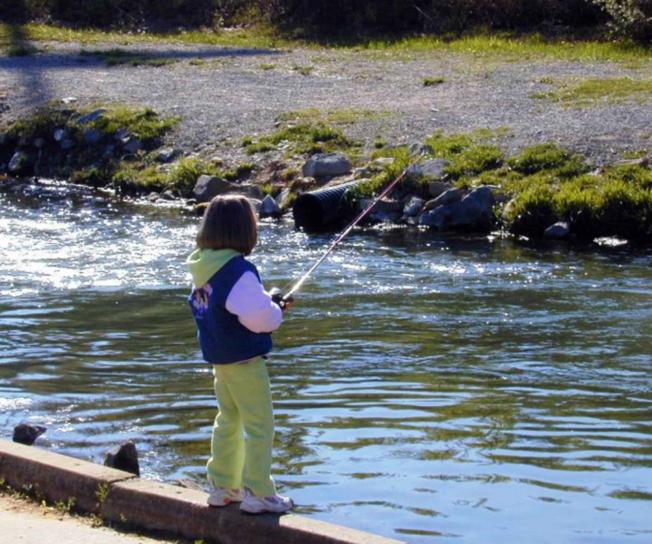 child, fishes, stream