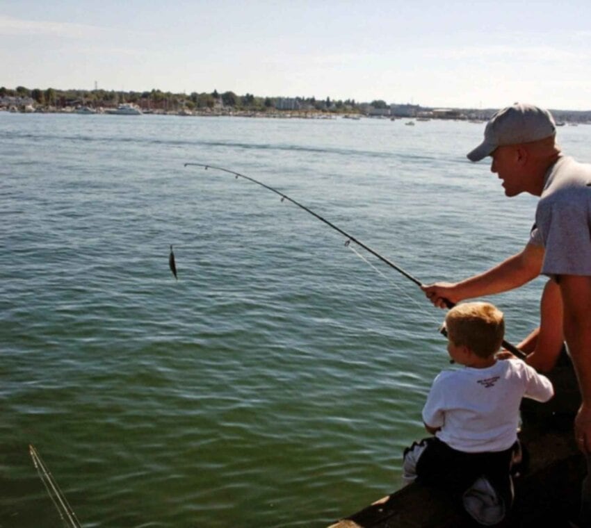 Free picture: father, son, fishing, little, boy, helps, father, fish