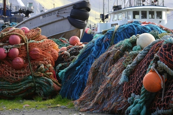 fish, net, pile, harbor, ships