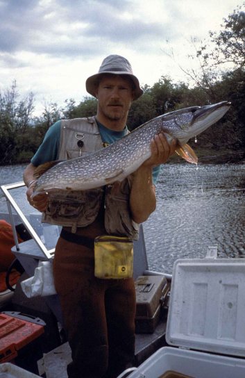 fisherman, holding, big, fish, northern pike