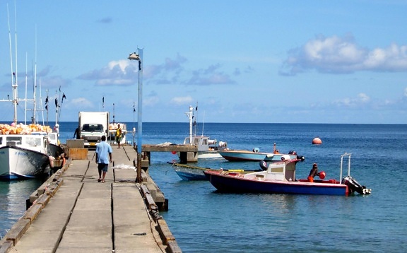 pescadores, Grenada, começar, para trás, mar