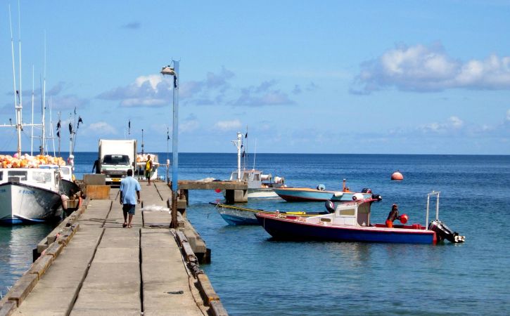nelayan, Grenada, mulai, kembali, laut