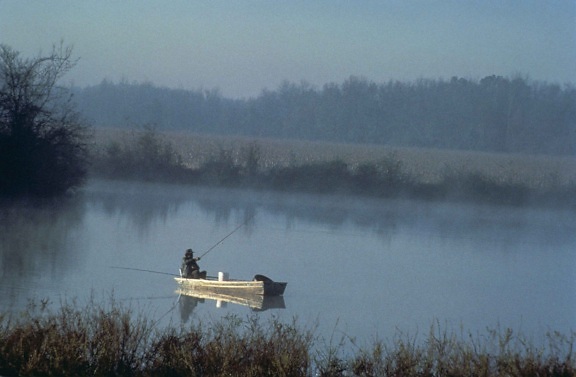 horgászat, köd, csónak