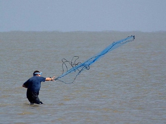 捕鱼、网