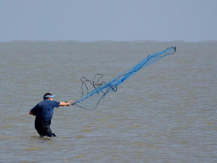 Риболовля, мережі