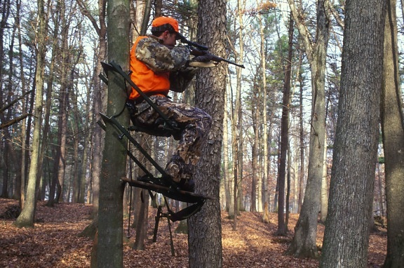 hunter, holds, eye, scope, gun, sitting, tree