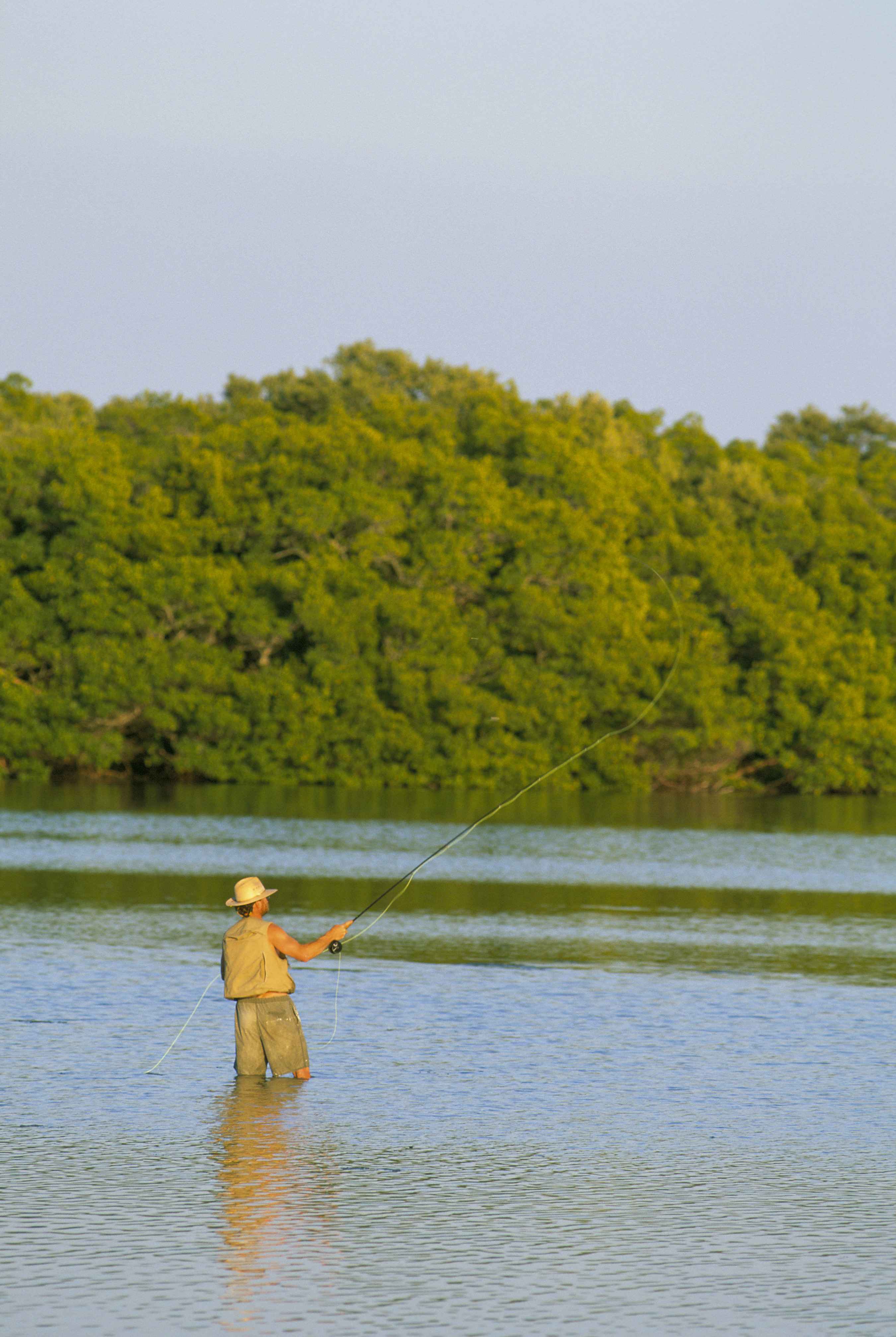 Free picture: man, fly, fishing