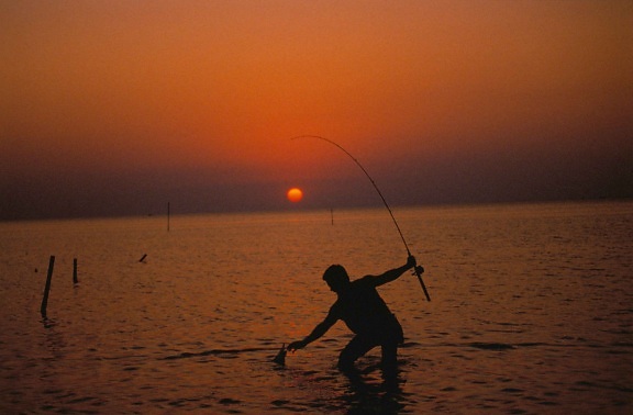 silhouette, pêcheur, mer, eau, coucher de soleil