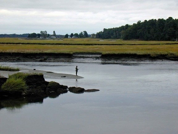 silhouette, fisherman, water, distance