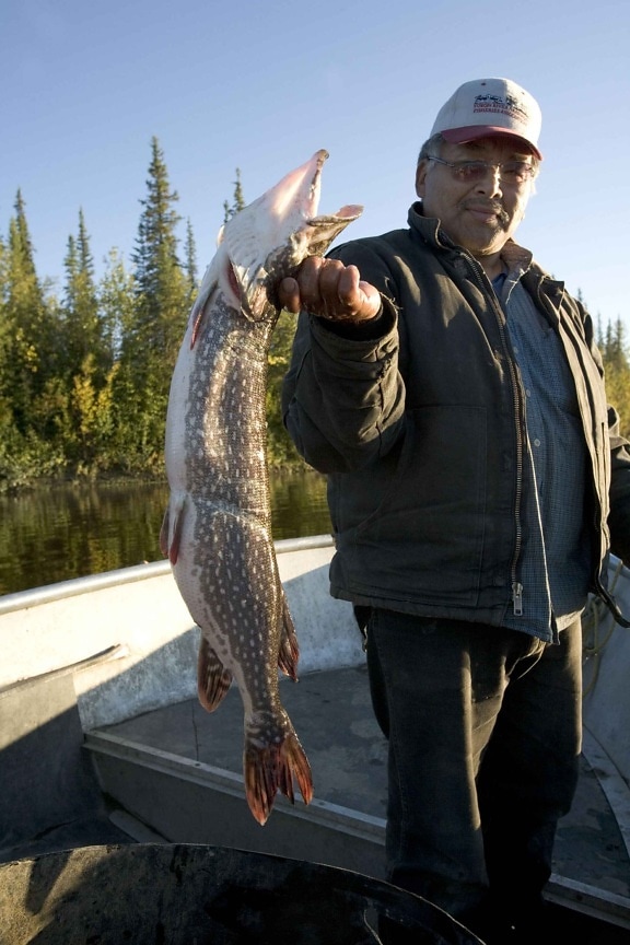 subsistence, caught, northern pike