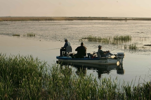 tři muži, baskytara, loď, relaxační, pozdě, poledne, rybolov, klid, voda