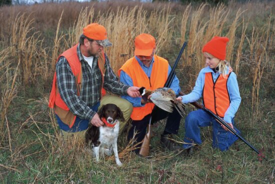 two, men, young girl, dog, hunt, pheasant, together