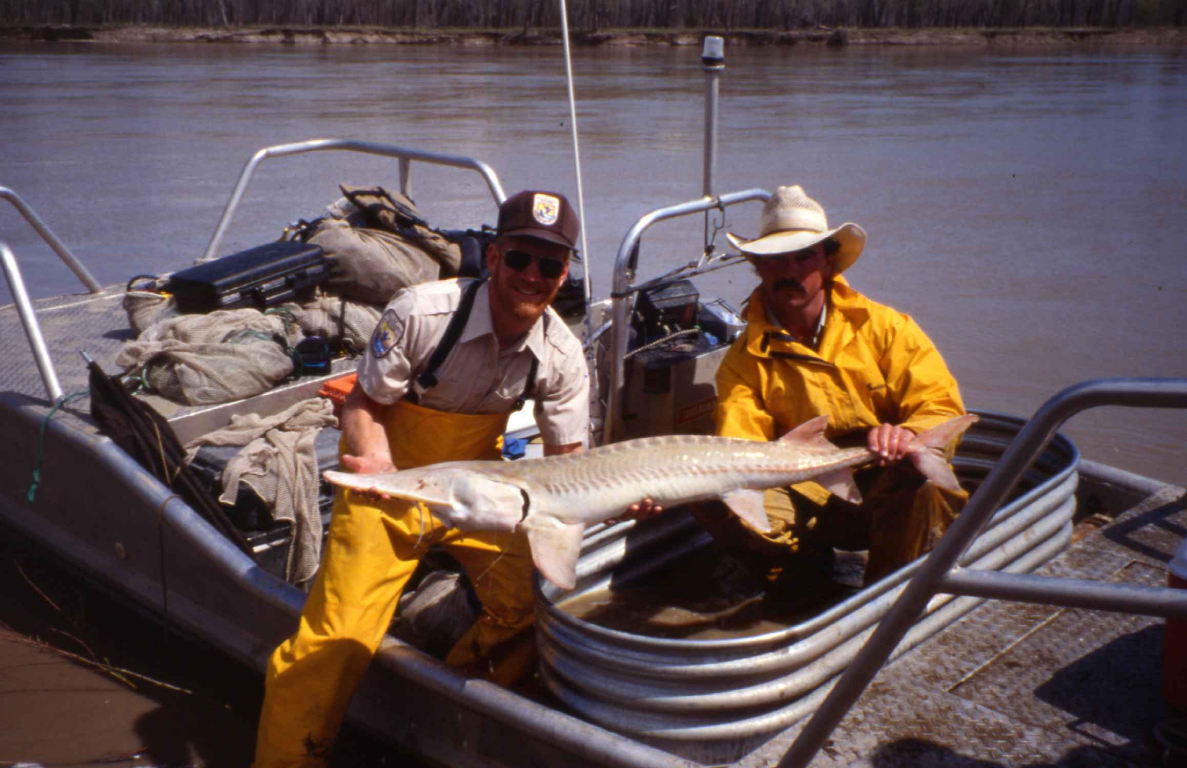 Free picture: two, men, boat, holding, pallid, sturgeon, fish
