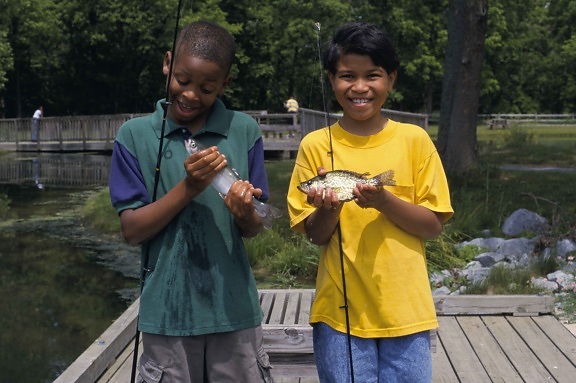 two, young boys, show, catched, fish