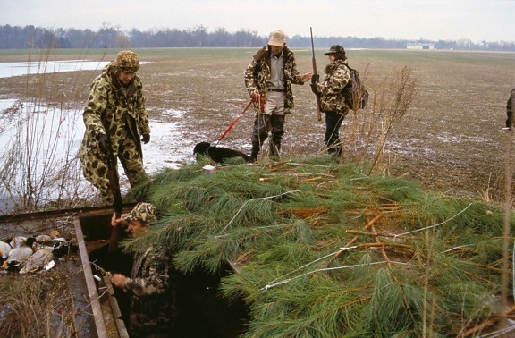 waterfowl, hunters, camouflage, clothing, ducks, dog