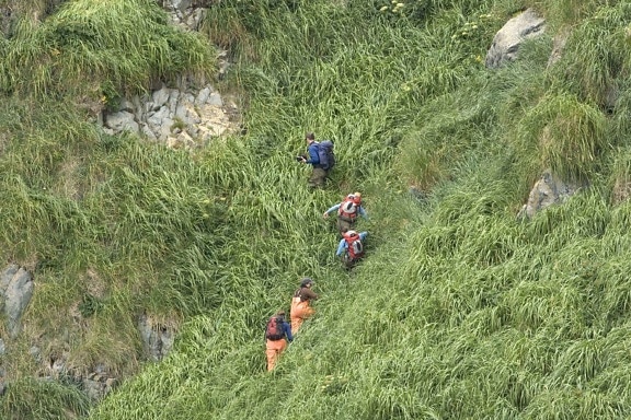 people, sclimb, cliffs