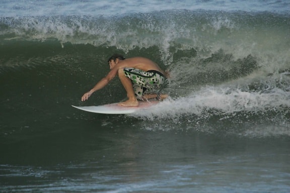 surfista, se agacha, bajo, barril, onda