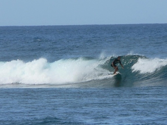 surfer, giant bølge og surfer surfing board, sport