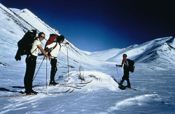 rekreacijski, skijaši, planine, kratki odmor, uživati u skijanju, regija